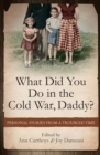 What Did You Do in the Cold War, Daddy? : Personal Stories from a Troubled Time - eBook