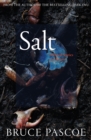 Salt : Selected Stories and Essays - eBook