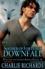 Soldier of Fortune's Downfall - eBook