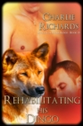 Rehabilitating His Dingo - eBook