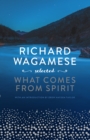 Richard Wagamese Selected : What Comes from Spirit - eBook