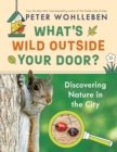 What's Wild Outside Your Door? : Discovering Nature in the City - Book