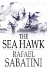 The Sea Hawk - eBook