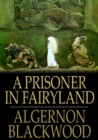 A Prisoner in Fairyland - eBook