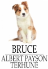 Bruce - eBook