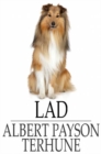 Lad : A Dog - eBook