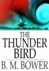 The Thunder Bird - eBook