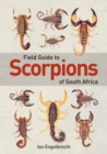 Field Guide to Scorpions of South Africa - Book