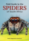 Field Guide to the Spiders of South Africa - eBook