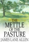 The Mettle of the Pasture - eBook