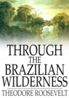 Through the Brazilian Wilderness - eBook