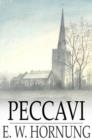 Peccavi - eBook