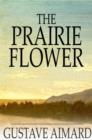 The Prairie Flower : A Tale of the Indian Border - eBook