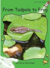 Red Rocket Readers : Early Level 4 Non-Fiction Set C: From Tadpole to Frog Big Book Edition (Reading Level 12/F&P Level H) - Book