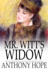 Mr. Witt's Widow : A Frivolous Tale - eBook