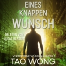 Eines Knappen Wunsch : Eine LitRPG Urban Fantasie - eAudiobook