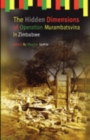 The Hidden Dimensions of Operation Murambatsvina - eBook