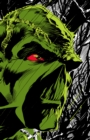 Absolute Swamp Thing by Len Wein and Bernie Wrightson - Book