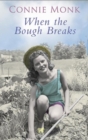 When the Bough Breaks - eBook