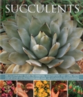 Succulents - Book