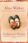 Alice Walker: Collected Poems : Her Blue Body Everything We Know: Earthling Poems 1965-1990 - eBook
