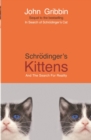 Schrodinger's Kittens : And The Search For Reality - eBook