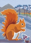 Nature Notebook: Red Squirrel - Book