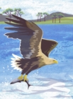 Nature Notebook: Sea Eagle - Book
