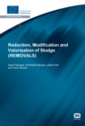 Reduction, Modification and Valorisation of Sludge - eBook