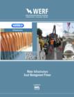 Water Infrastructure Asset Management Primer - eBook