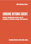 Looking Beyond Credit - eBook