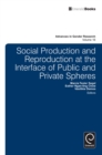 Social Production and Reproduction at the Interface of Public and Private Spheres - eBook