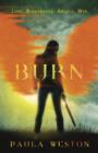 Burn : Book 4 - eBook