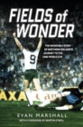Fields of Wonder : The incredible story of Northern Ireland's journey to the 1982 World Cup - eBook