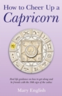 How to Cheer Up a Capricorn : Real life guidance on how to get along and be friends with the 10th sign of the zodiac - eBook
