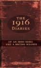 The 1916 Diaries of an Irish Rebel and a British Soldier - eBook