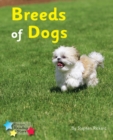 Breeds of Dogs : Phonics Phase 4 - Book