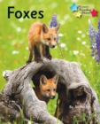 Foxes : Phonics Phase 5 - Book
