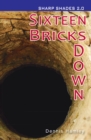 Sixteen Bricks Down  (Sharp Shades 2.0) (ebook) - eBook