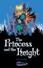 The Princess and the Knight - eBook