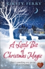 A Little Bit of Christmas Magic - eBook