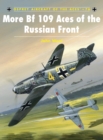 More Bf 109 Aces of the Russian Front - eBook