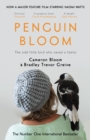 Penguin Bloom : The Odd Little Bird Who Saved a Family - eBook