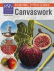 RSN Essential Stitch Guides: Canvaswork : Large Format Edition - Book