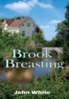 Brook Breasting - eBook