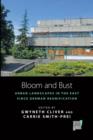 Bloom and Bust : Urban Landscapes in the East since German Reunification - eBook