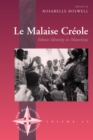 Le Malaise Creole : Ethnic Identity in Mauritius - eBook