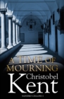 A Time of Mourning - Book