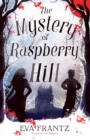 The Mystery of Raspberry Hill - Book