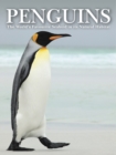 Penguins : Stunning Photographs of the World's Favourite Seabird - Book